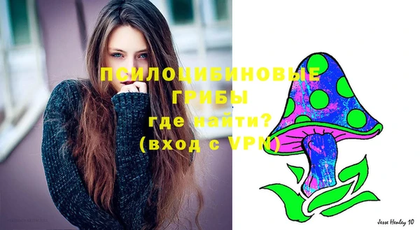 марки nbome Каменка