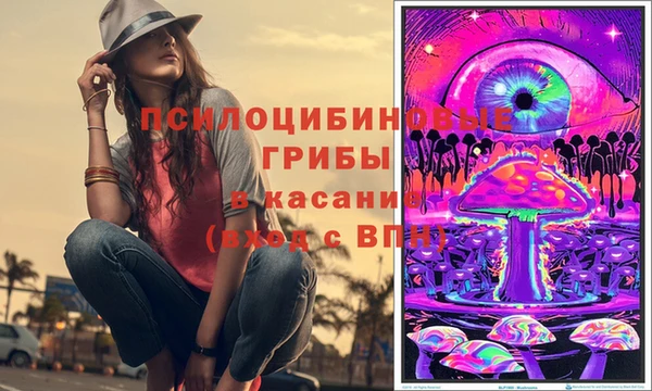 дживик Каменск-Шахтинский